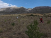 Goemuergen_02.08.2014_0016