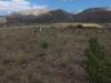 Goemuergen_02.08.2014_0022