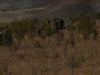 Goemuergen_02.08.2014_0030