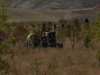 Goemuergen_02.08.2014_0033