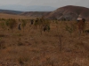 Goemuergen_02.08.2014_0037