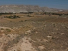 Goemuergen_02.08.2014_0064