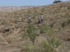 Goemuergen_02.08.2014_0081