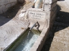 24.2 Cesme Purun arkası, Yeşil mahalle