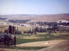 gomurgen-1988_6