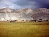gomurgen-1992_35