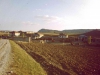 gomurgen-1992_50