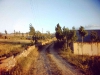 gomurgen-1992_95