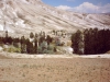 2001_255