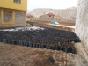 2011_1_5