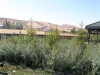 2011_29