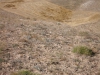 2011_49