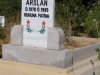 mer Arslan