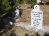 Ali Toydemir
