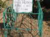 Emine Biltekin