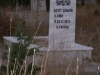 Zeyit Zengin
